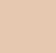 Однотонные коричневые обои (фон) Loymina Materials Lotus Universe LOT2, 201