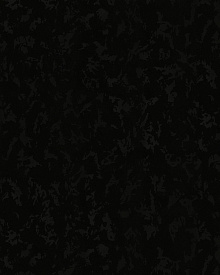 Чёрные обои в прихожую Emiliana Parati Tekko New 20008T