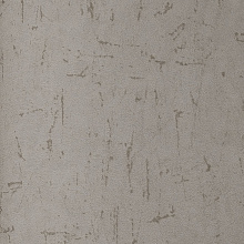 Andrea Rossi Berggi 54442-4
