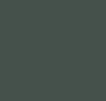 Зелёные обои в зал Loymina Materials Lotus LOT1, 136