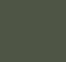 Зелёные обои в зал Loymina Materials Lotus LOT1, 905