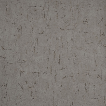 Andrea Rossi Berggi 54442-6