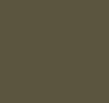 Зелёные обои в зал Loymina Materials Lotus LOT1, 135