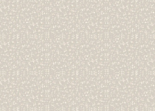 Rasch Step-Up W187104